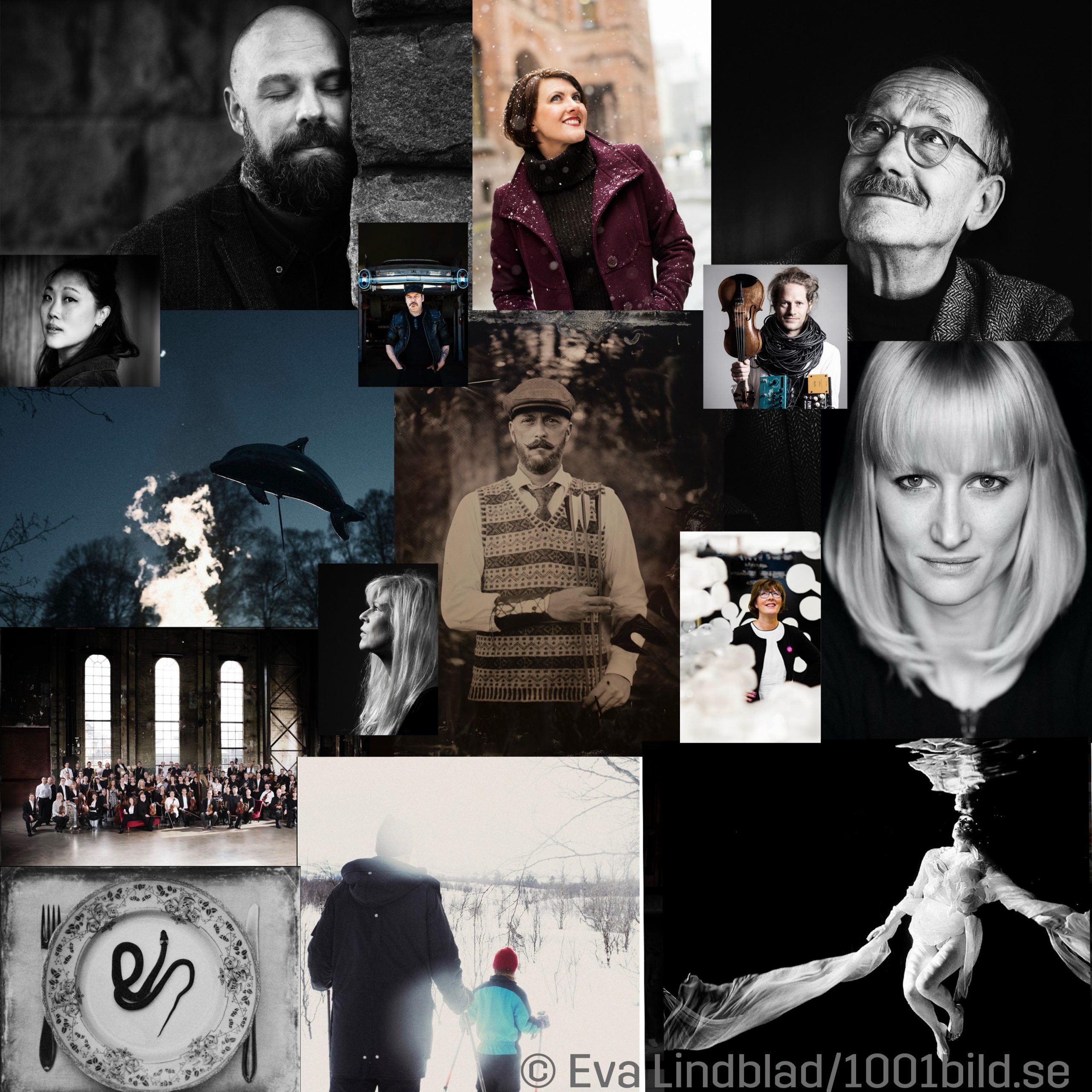 Fotografiets beståndsdelar